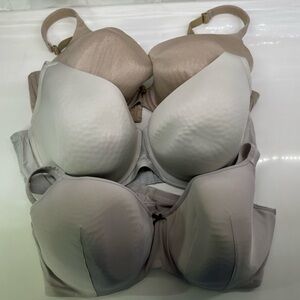 Cacique bras size 42DDD